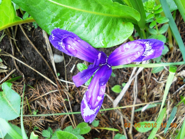 /jepii/dscn1472.jpg