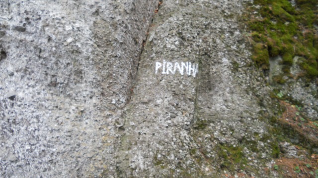 /zangur/dscn3337.jpg