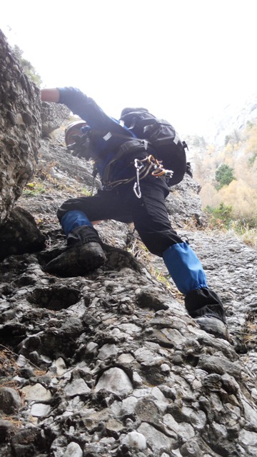 /zangur/dscn3377.jpg