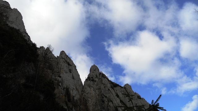 /zangur/dscn3411.jpg