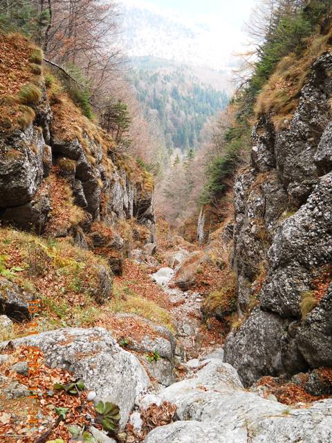 /zangur/dscn3526.jpg