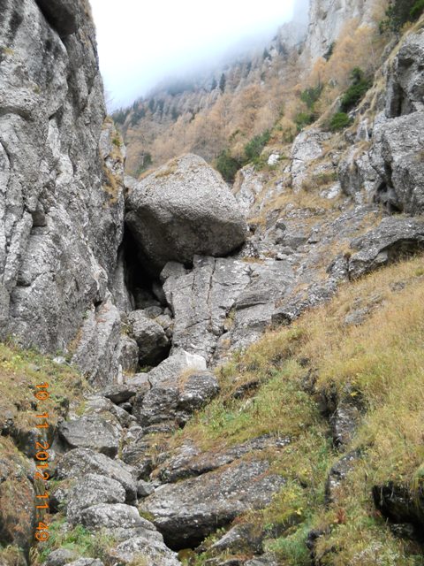 /zangur/dscn3541.jpg