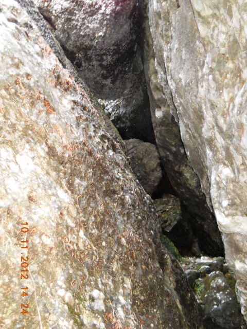 /zangur/dscn3639.jpg