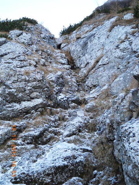 /zangur/dscn3742.jpg