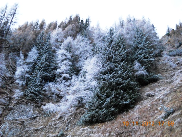 /zangur/dscn3781.jpg
