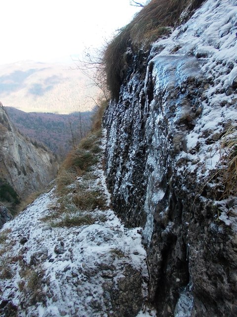 /zangur/dscn7856.jpg