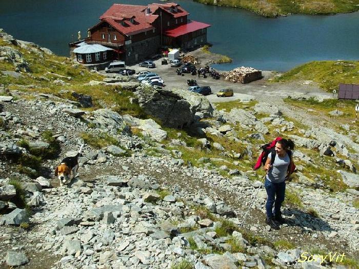 /Fagaras/pict2249.jpg