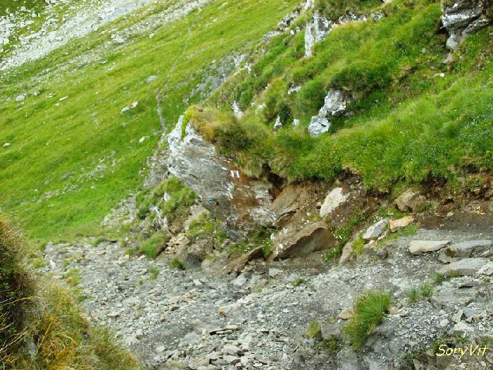 /Fagaras/pict2301.jpg