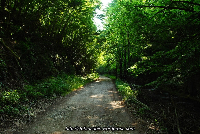 /CheileNerei/dsc_0081.jpg
