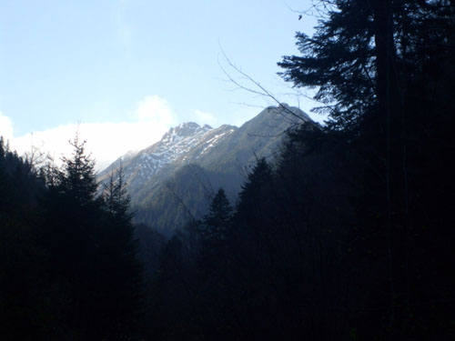 Carpati.org