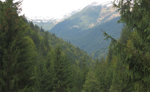 Carpati.org