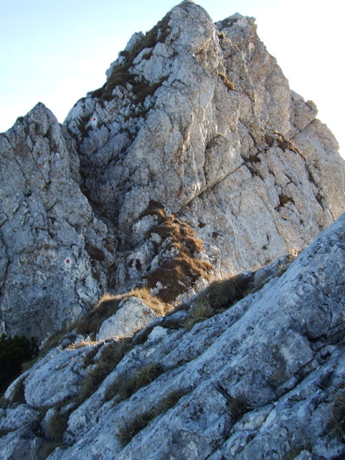 Carpati.org