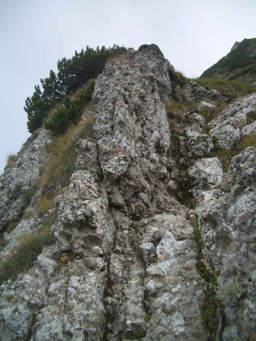 Carpati.org