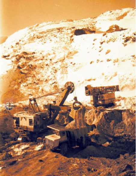 /ARTICOLE/expo5.jpg
