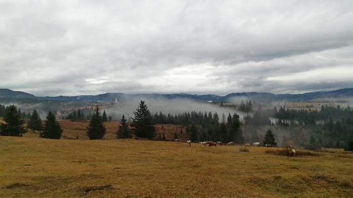 /Calimani/20141120_084851.jpg