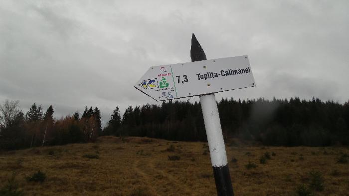/Calimani/20141120_093937.jpg