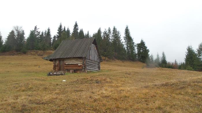 /Calimani/20141120_104150.jpg