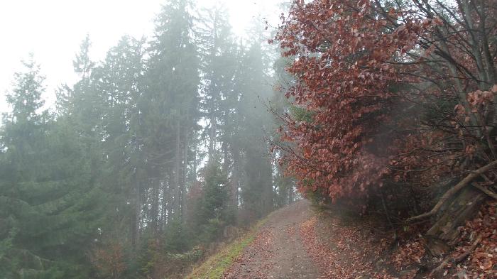 /Calimani/20141120_110649.jpg