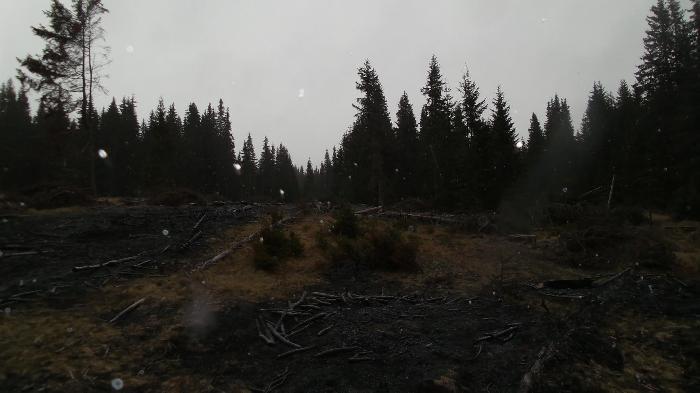 /Calimani/20141120_152838.jpg