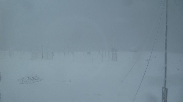 /Calimani/20141121_094237.jpg