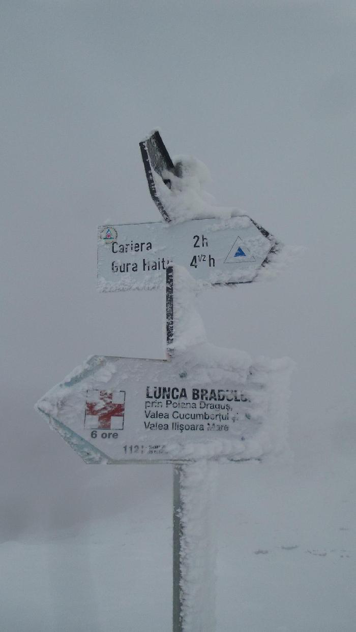 /Calimani/20141121_113208.jpg