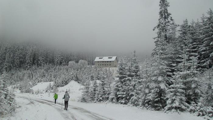 /Calimani/20141121_122346.jpg