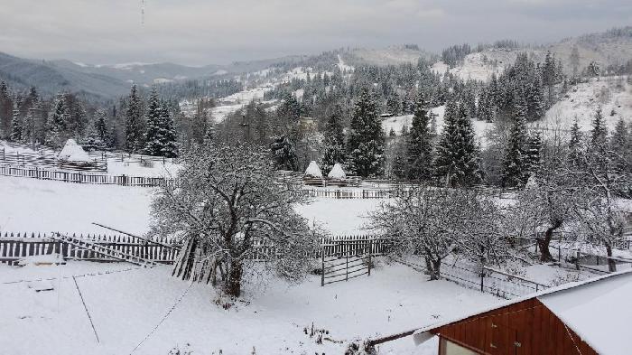 /Calimani/20141122_082834.jpg