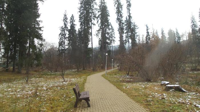/Calimani/20141122_095627.jpg