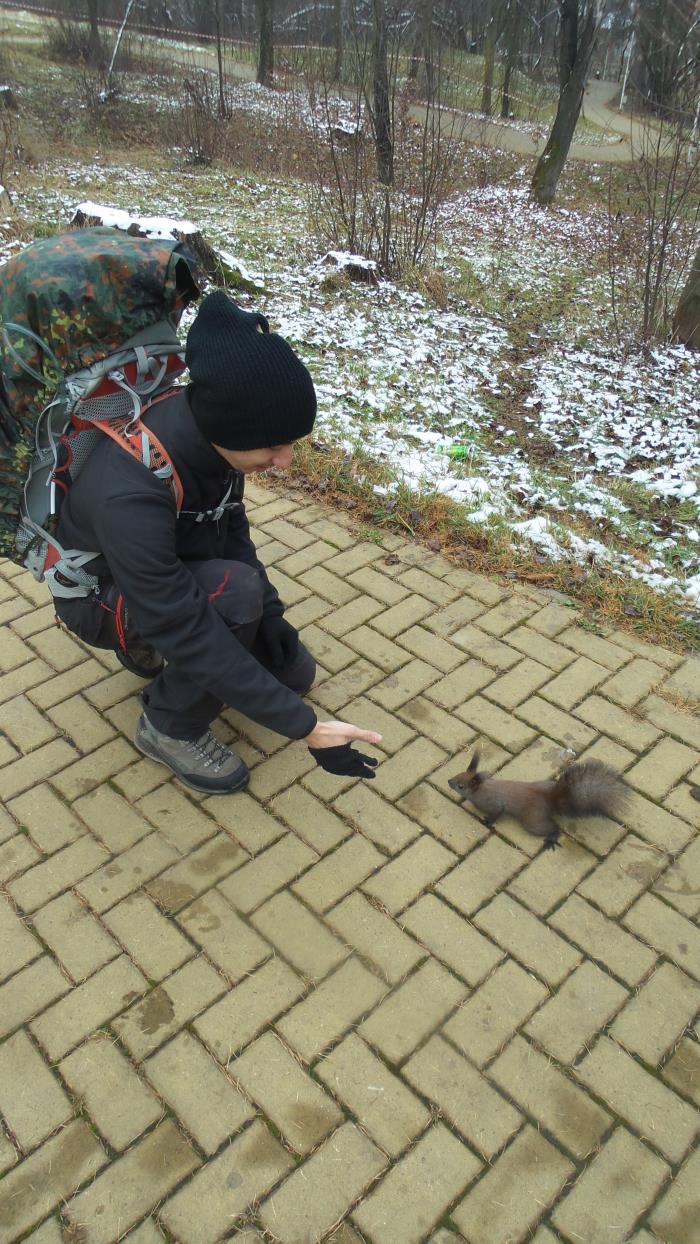 /Calimani/20141122_101421.jpg