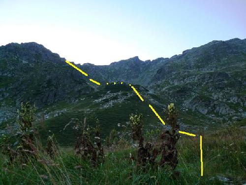 /Piscul/11_caldarusaestica.jpg