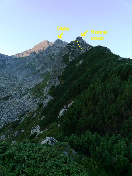 /Piscul/14b_piscul_delaintrare_mare.jpg