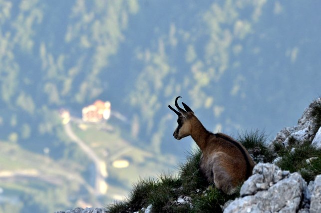 /Piatra/_dsc0783.jpg
