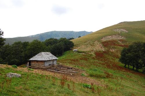 Carpati.org