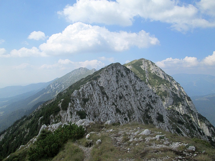 /10aug2013/img_1427.jpg