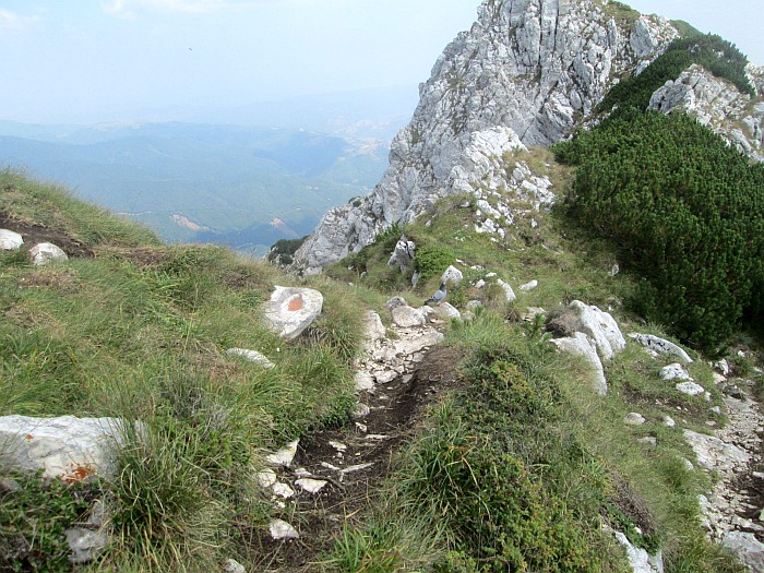 /10aug2013/p1_2.jpg