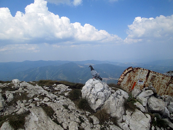 /10aug2013/p3.jpg