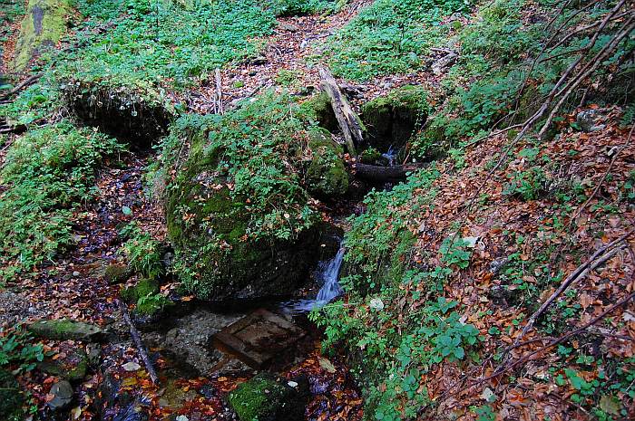 /13oct13/dsc_0142.jpg