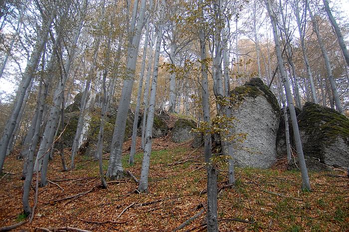 /13oct13/dsc_0144.jpg