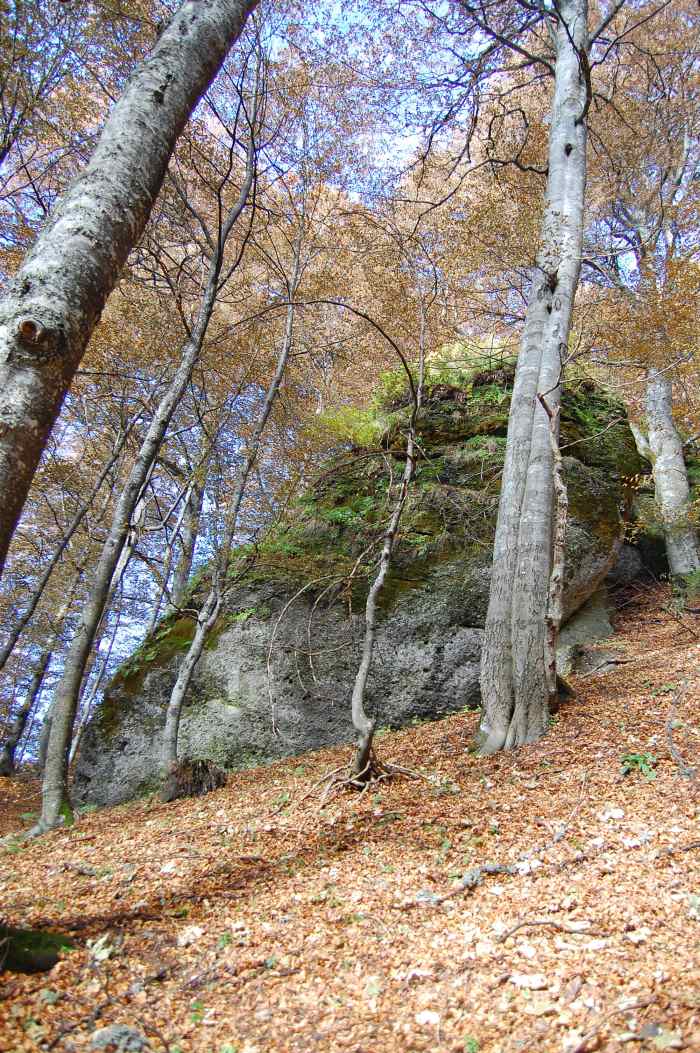 /13oct13/dsc_0145.jpg