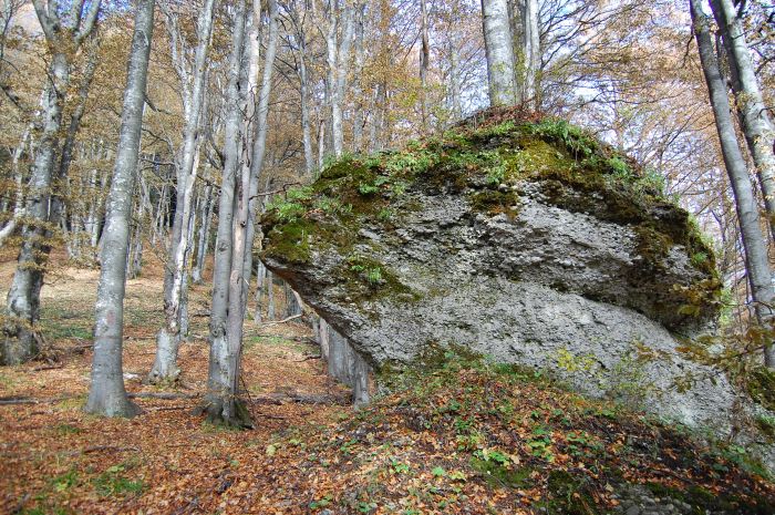 /13oct13/dsc_0146.jpg