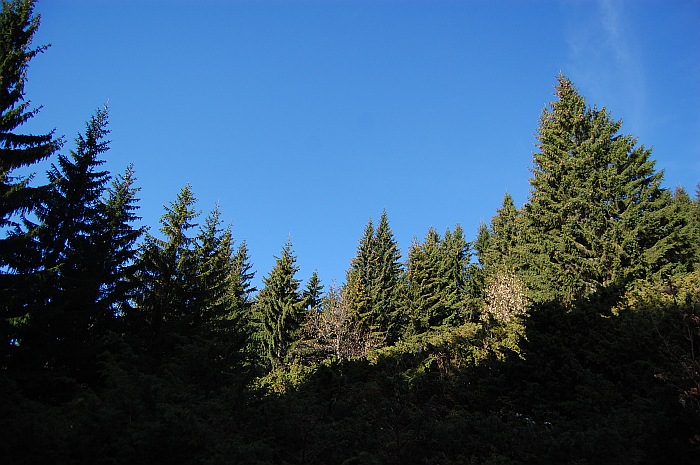 /13oct13/dsc_0148.jpg