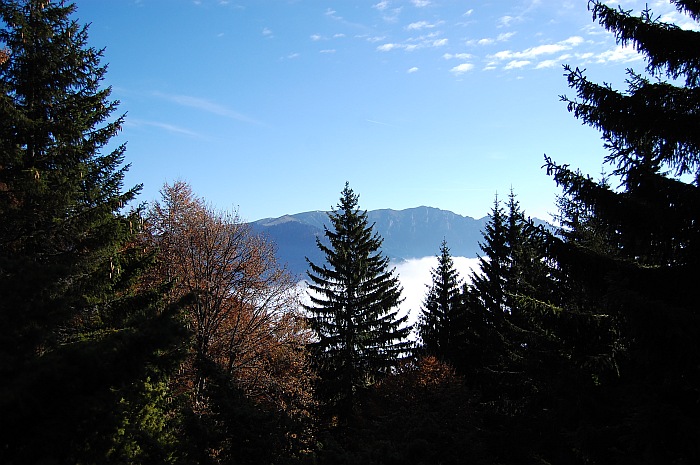 /13oct13/dsc_0149.jpg