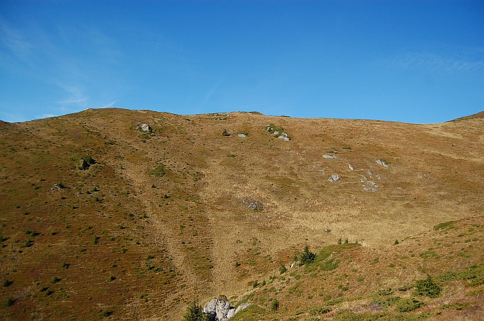 /13oct13/dsc_0157.jpg