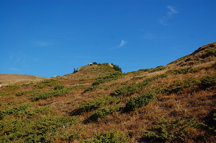 /13oct13/dsc_0158.jpg