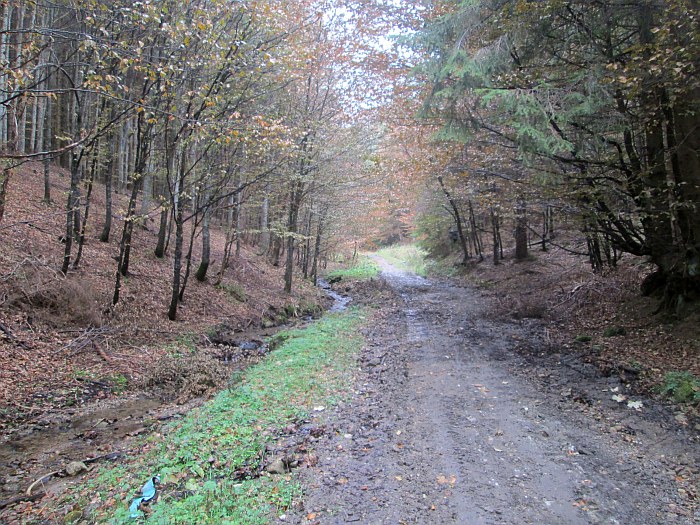 /13oct13/img_4586.jpg