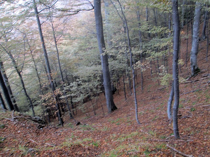 /13oct13/img_4590.jpg