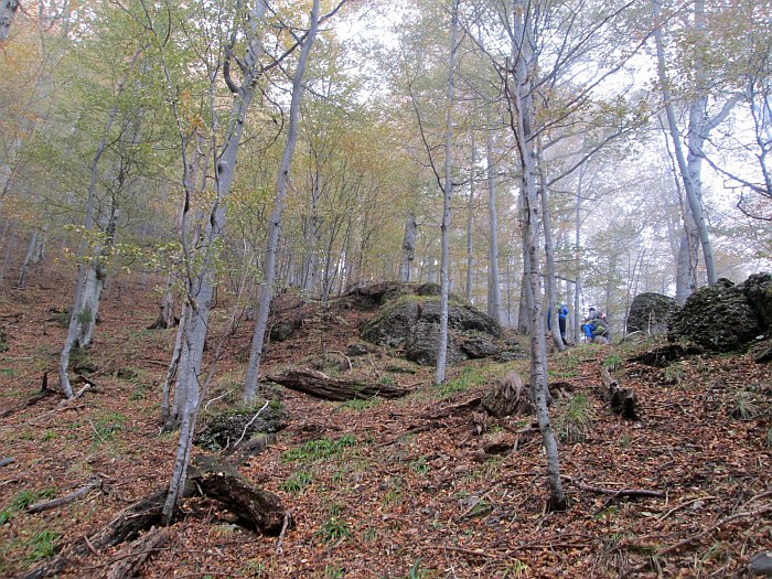 /13oct13/img_4591.jpg