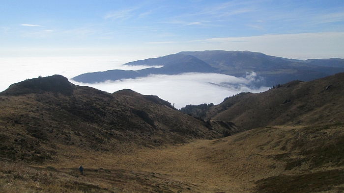 /13oct13/img_4642.jpg