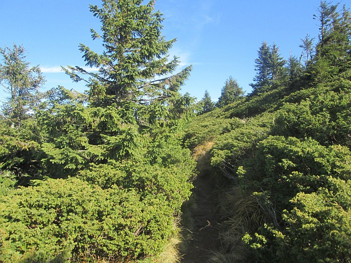 /13oct13/img_4644.jpg