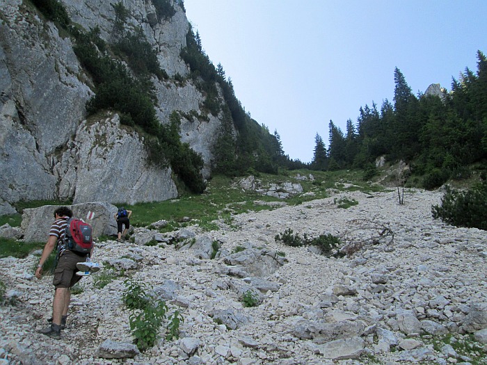 /22062013/img_6469.jpg